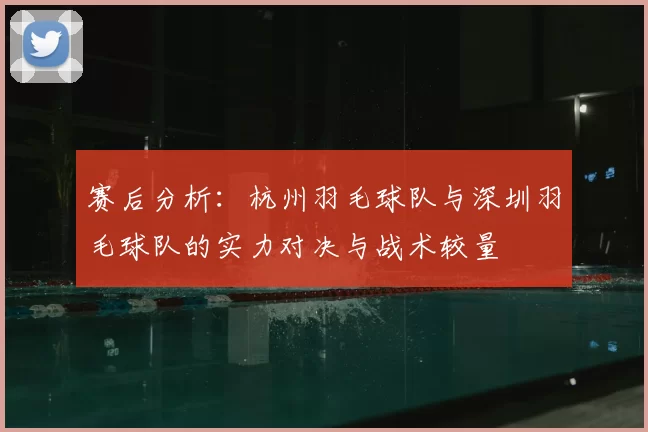 赛后分析:杭州羽毛球队与深圳羽毛球队的实力对决与战术较量