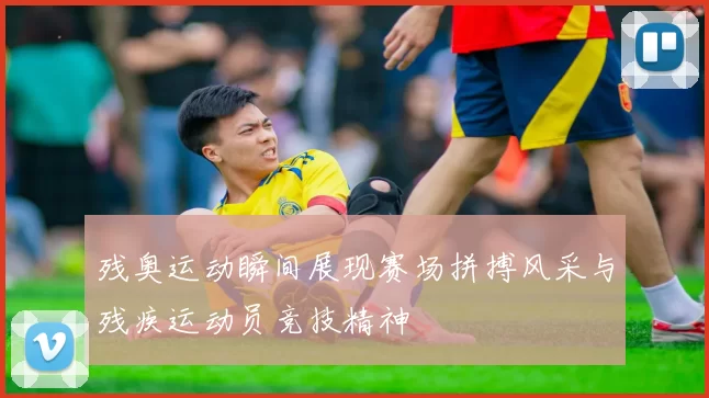 残奥运动瞬间展现赛场拼搏风采与残疾运动员竞技精神
