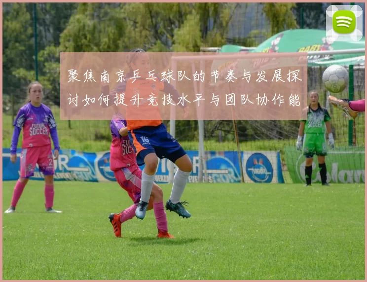 聚焦南京乒乓球队的节奏与发展探讨如何提升竞技水平与团队协作能力