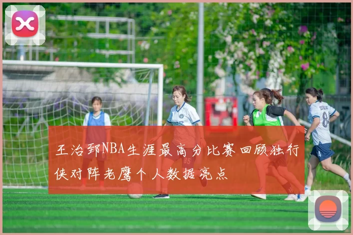 王治郅NBA生涯最高分比赛回顾独行侠对阵老鹰个人数据亮点
