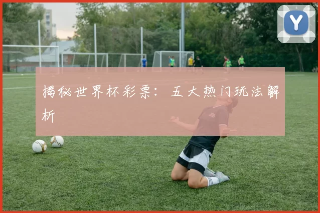 揭秘世界杯彩票：五大热门玩法解析