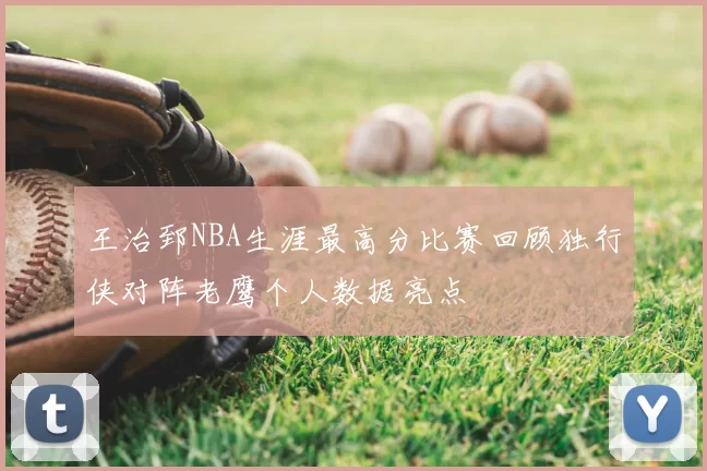 王治郅NBA生涯最高分比赛回顾独行侠对阵老鹰个人数据亮点