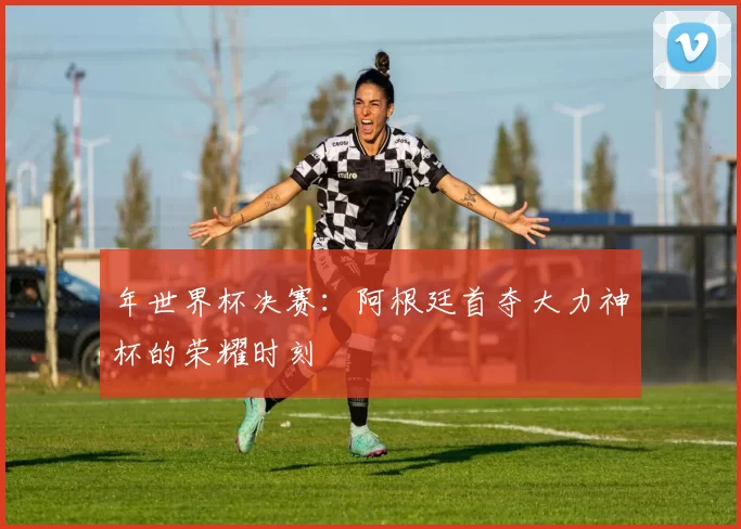 年世界杯决赛：阿根廷首夺大力神杯的荣耀时刻