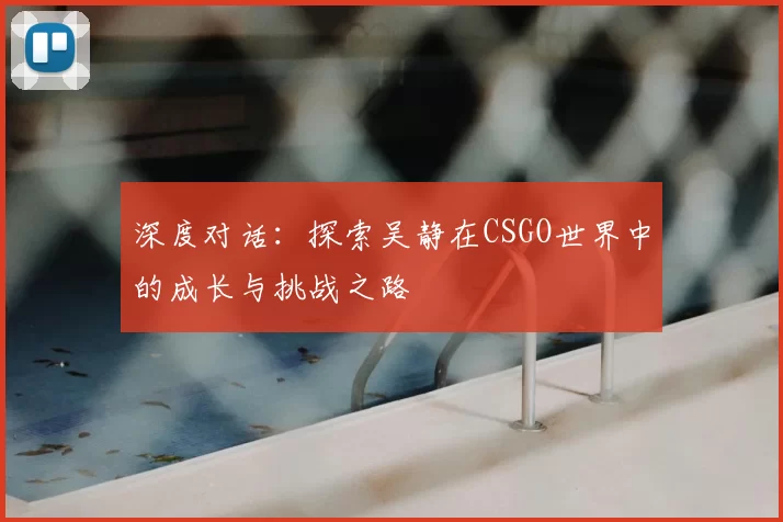 深度对话：探索吴静在CSGO世界中的成长与挑战之路
