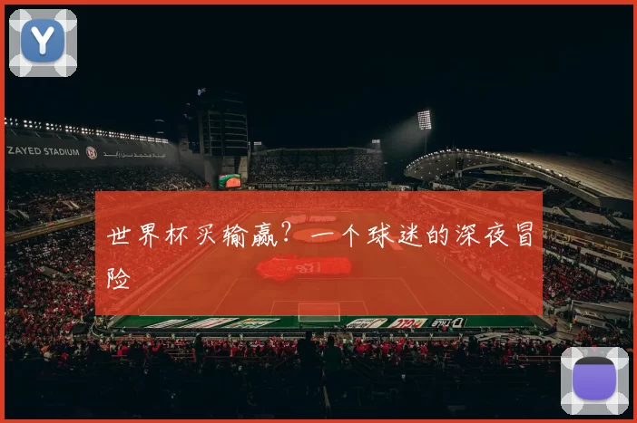 世界杯买输赢？一个球迷的深夜冒险