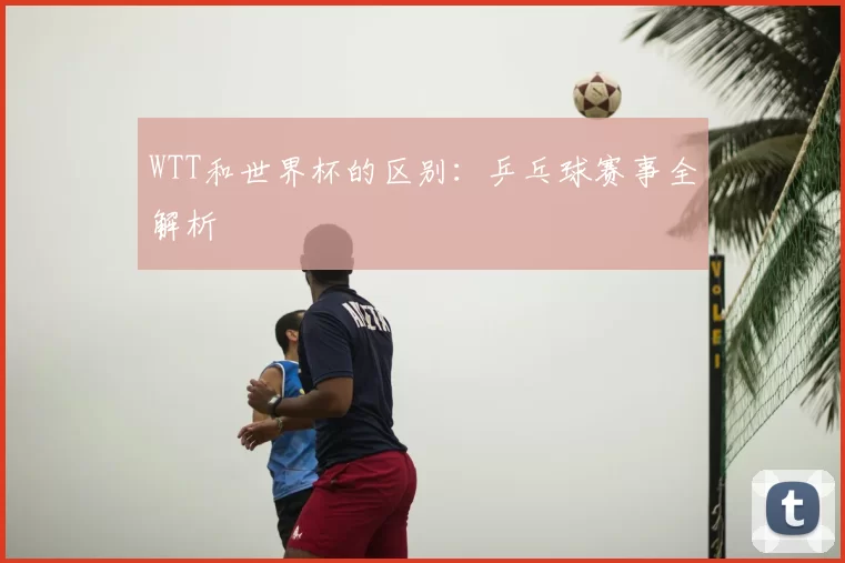 WTT和世界杯的区别:乒乓球赛事全解析